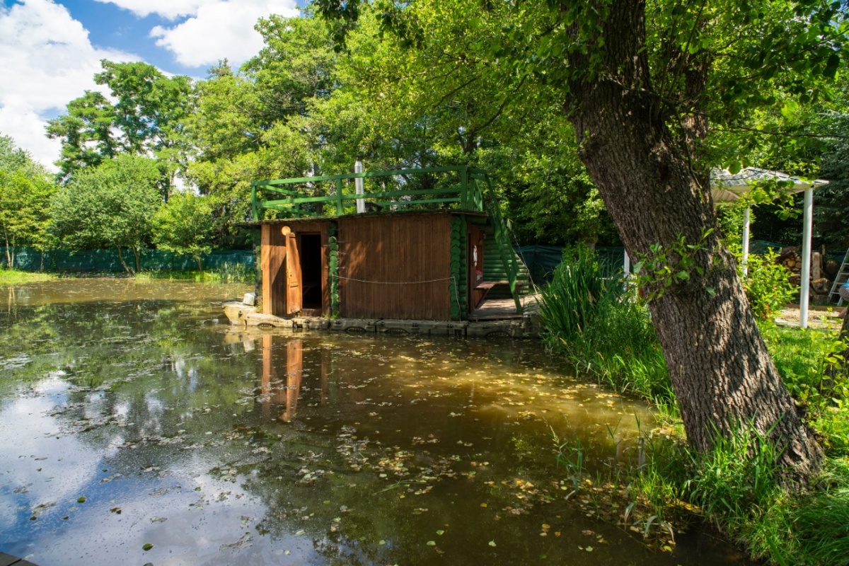 Obrázek 1