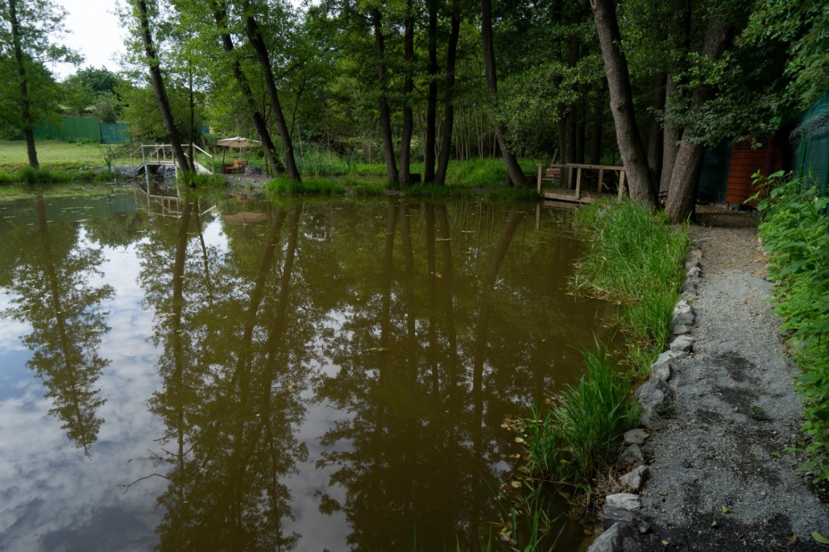 Obrázek 15